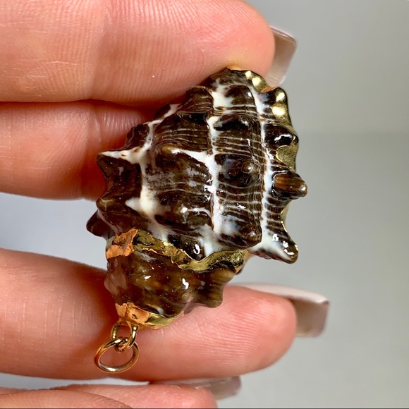 ⭐️ Gold Plated Shell ⭐️ - Picture 4 of 8